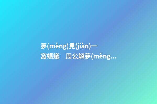 夢(mèng)見(jiàn)一窩螞蟻　周公解夢(mèng)之夢(mèng)到一窩螞蟻